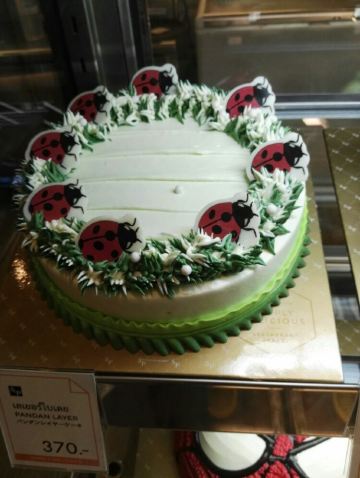 泰国生日蛋糕偷拍记