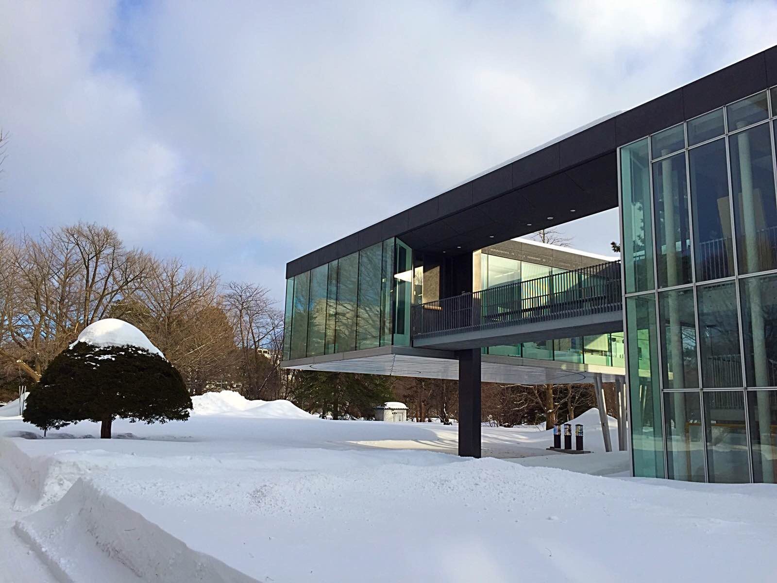 北海道大学