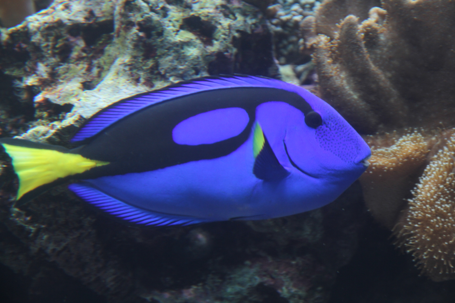 小伙伴们开始追着鱼儿们不停地拍拍拍~  结果,整个旅程的照片几乎一半