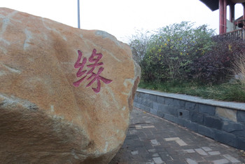 点击放大