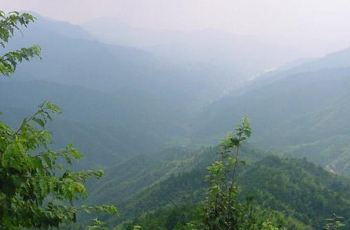 井冈山图片照片 f9b508916f7946a5afb851b0fd290c02_C_350_230.jpg