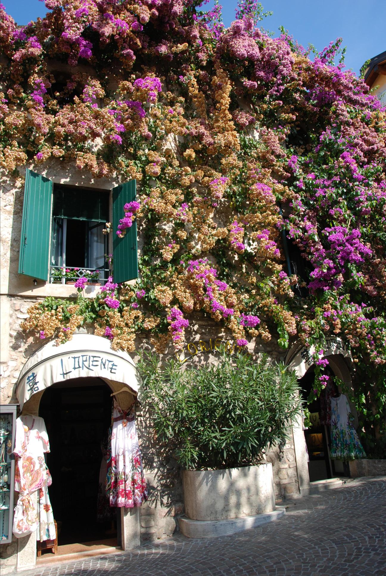 我和老妈的欧洲三国游之意瑞法