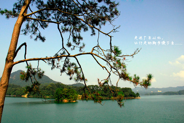 回頭遙望剛才環遊的湖面,搜尋孔雀島,桃花島.