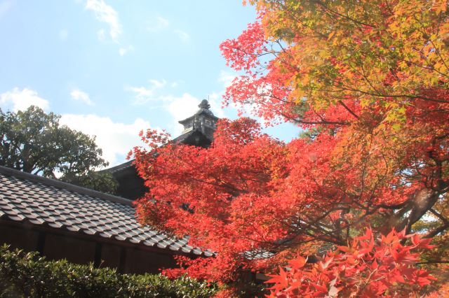 初秋到关西去看枫--京都大阪奈良七日自由行详