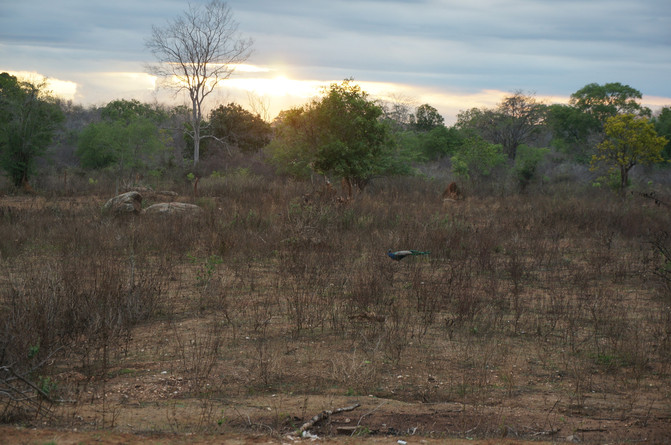 亲子游斯里兰卡8日7晚自由行实用攻略 - 斯里兰
