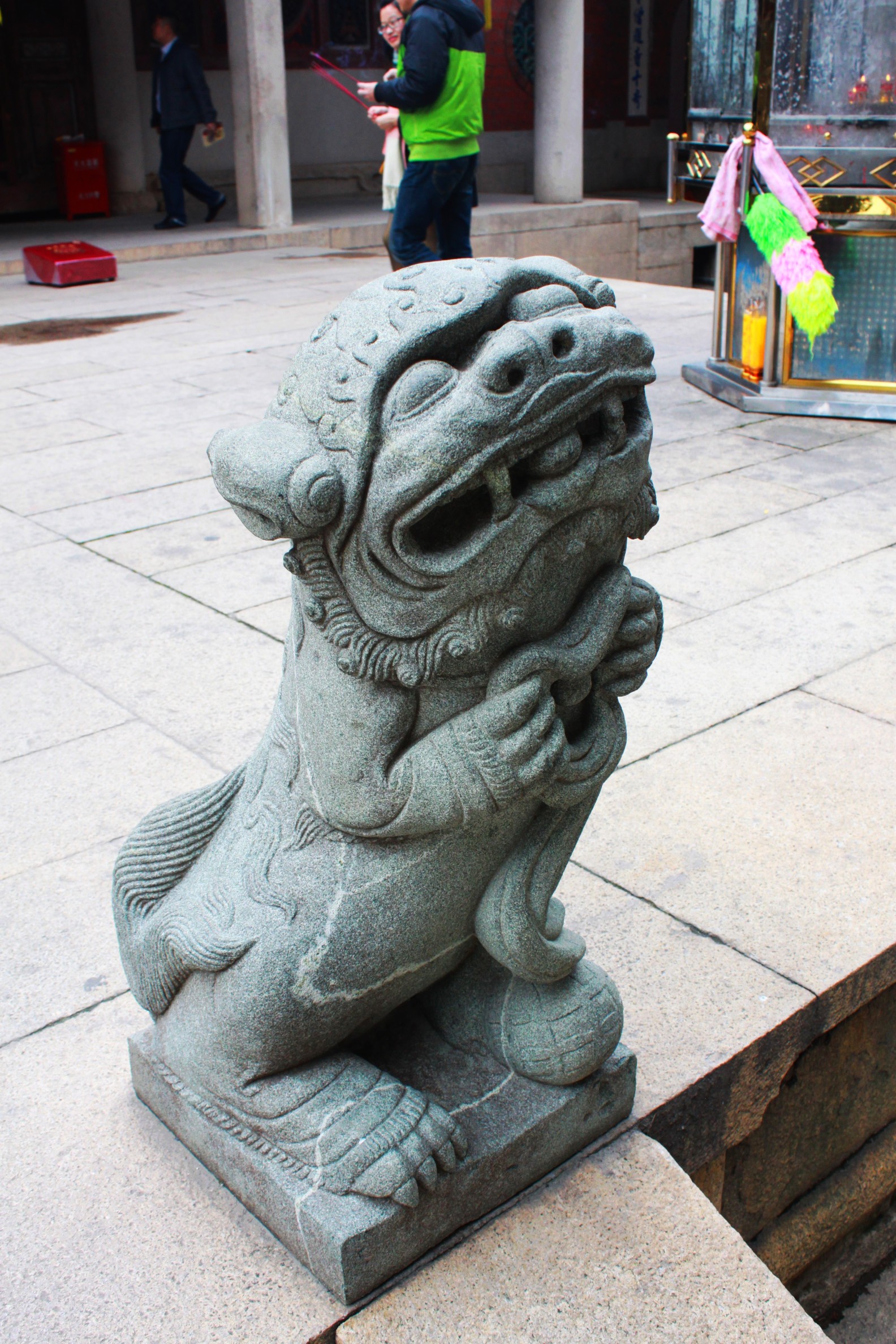 第一次见到这么萌的狮子有木有!