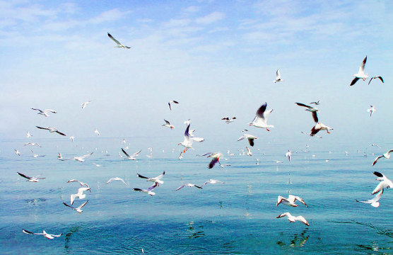 大河口西海渔村景区