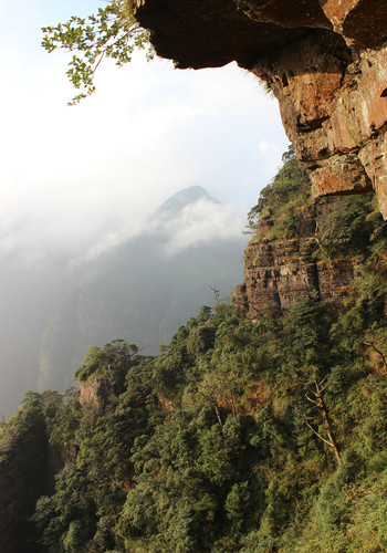 耳聞廣西金秀的聖堂山,山峰巍峨林立,海拔均在1600米以上,主峰