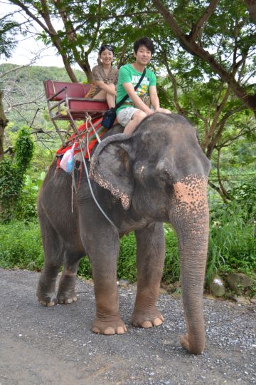 哇哇哇,骑在大象脖子上,怕怕