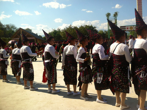 是景颇族为祭拜"木代鬼"而举行的,他们信奉鬼,目脑是最大的宗教祭奠