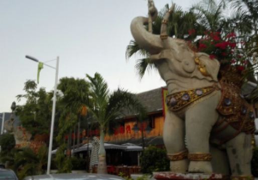 西双版纳景点排名_西双版纳景点图片(3)