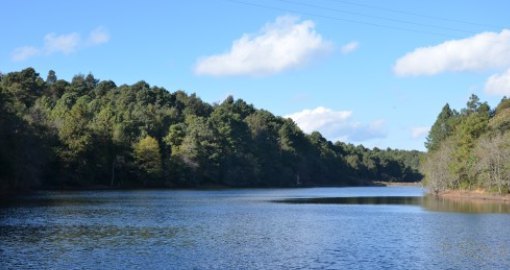 磨盘山国家森林公园