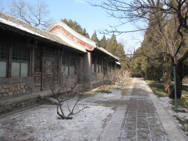 關裕年 來到北京的頤和園,北宮門,東門到處可以看見滿口東北腔的黑