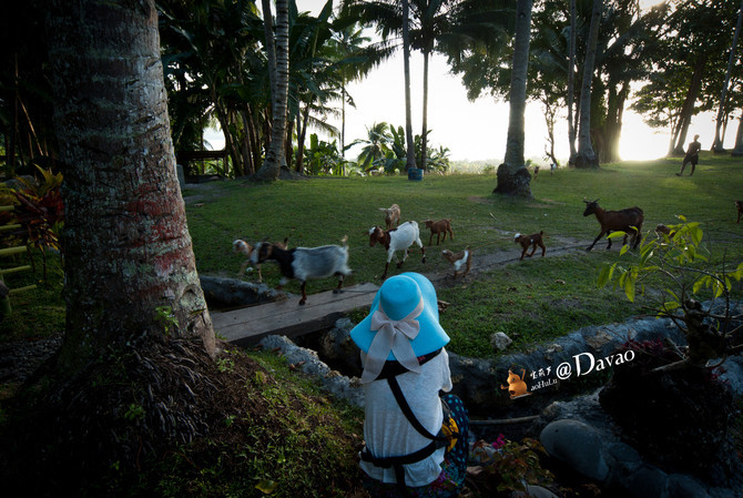 长滩岛、达沃、萨马尔岛15日小资海岛自由行