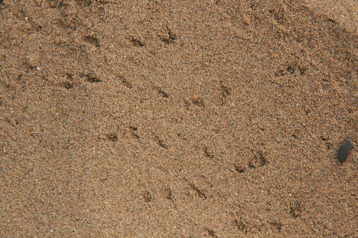 乘着基辅号航母,张开天津之眼,畅游秦皇岛 (8日