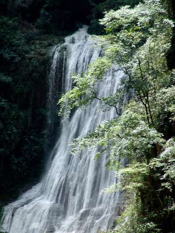 兰草谷风景区