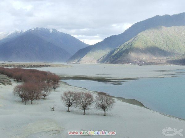 林芝有多少人口_西藏林芝都有什么鱼(3)