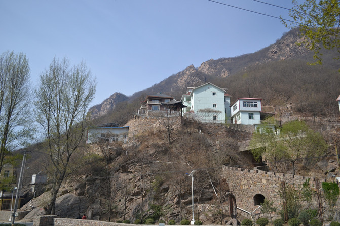 老树梨花,蓟县寻芳。-- 天津蓟县快乐家庭旅行