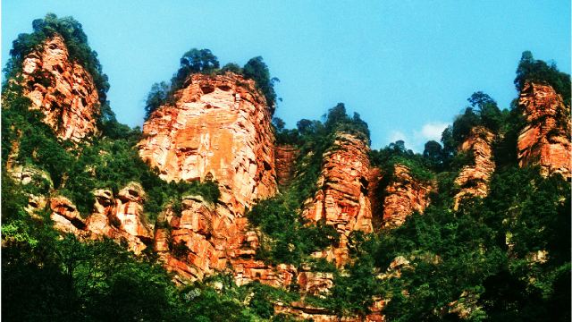 五柱峰景区门票,赤水五柱峰景区攻略/地址/图片/门票价格【携程攻略】