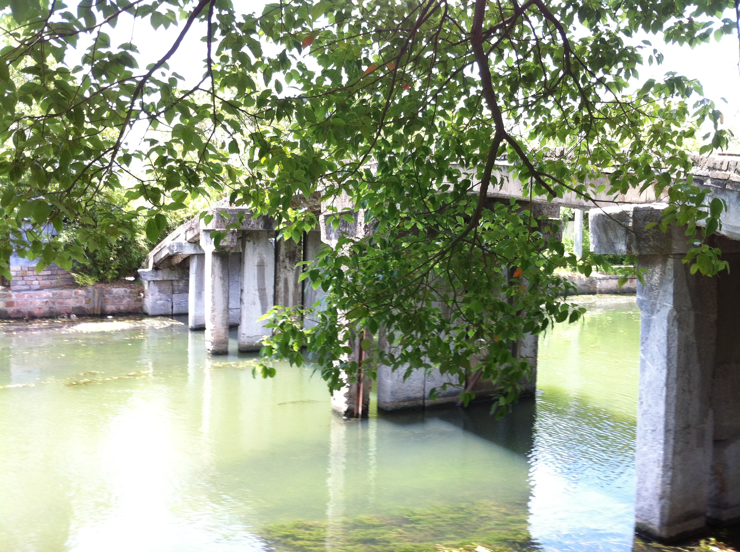 青浦金澤鎮/曲水園1日自駕