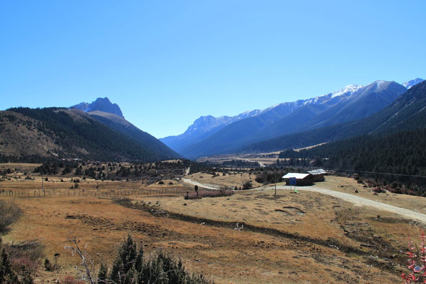 察隅-----察瓦龙风光 察隅县-----察瓦龙乡