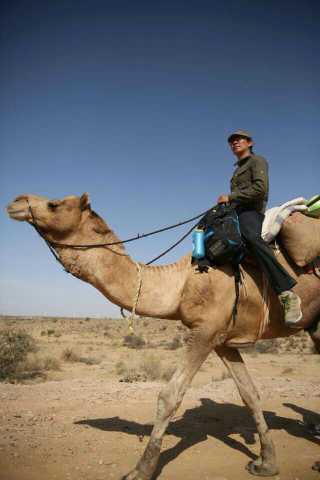跟我去旅行——牵着骆驼去旅行