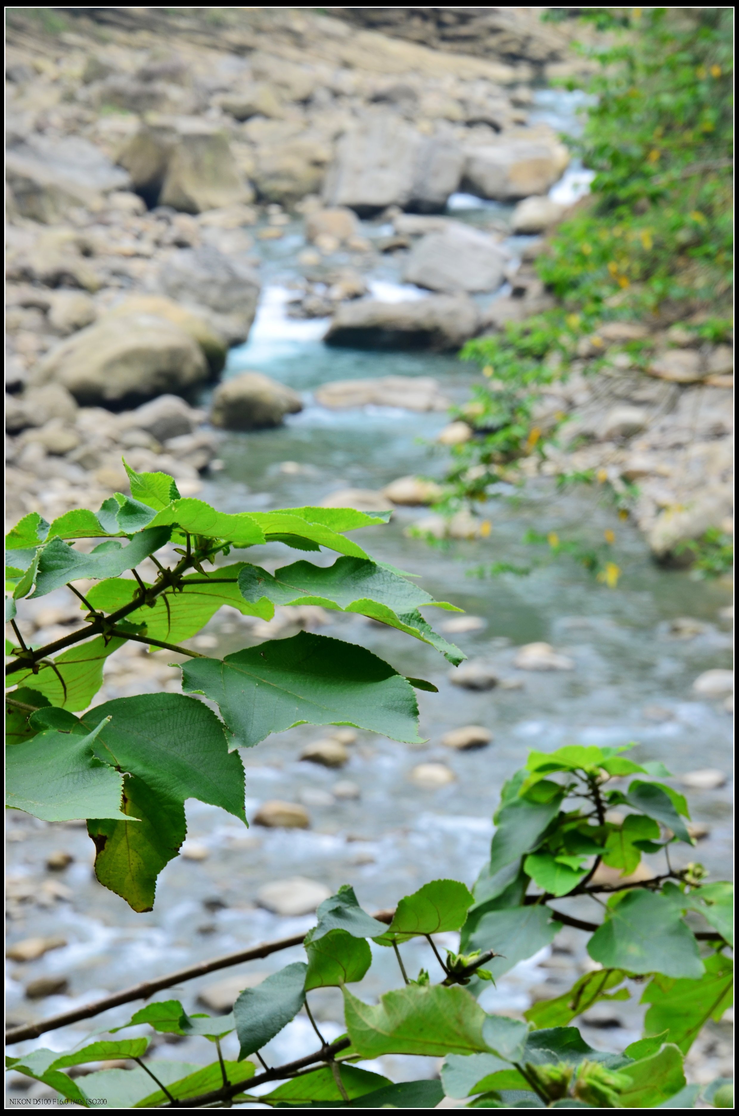 瑞峰风景区