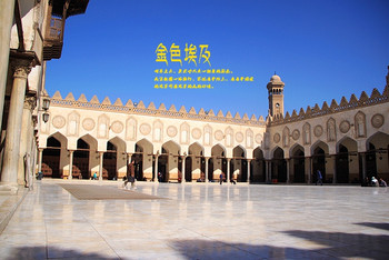 cf1a74208c06438bb76fa5868ae8fea2_C_350_234_Q90.jpg