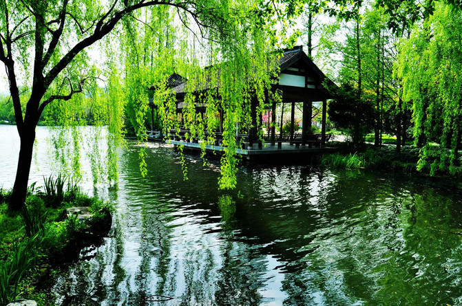 鞍山常驻人口_鞍山师范学院