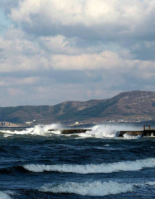 在旅顺口的西海边,有个秀美的双岛湾.