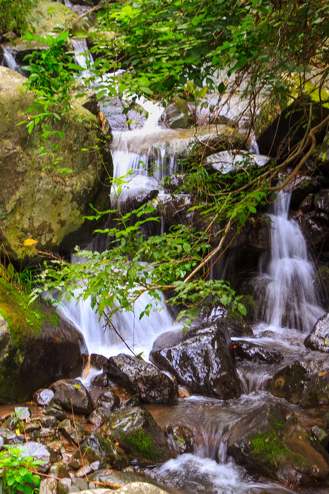 浙江安吉二日游