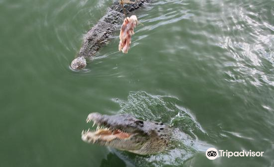泰国普吉岛 鳄鱼园和海洋馆 Crocodile Farm and Sea Aquarium