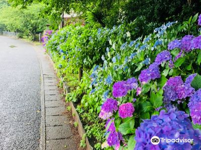 宇土市旅游攻略 3月宇土市 Uto 自助游 周边自驾 出游 自由行 游玩攻略 携程攻略